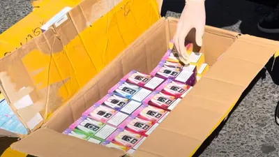 Жетісу облысында электронды темекі сатумен айналысқан ерлі-зайыпты ұсталды, сурет - Zakon.kz жаңалық 22.08.2025 16:34