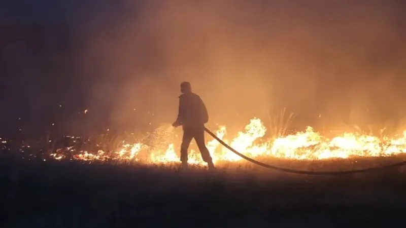 Алматы облысында тауда алапат өрт болып жатыр