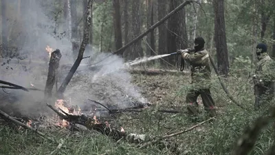 Қазақстанның үш өңірінде өрт қаупінің ең жоғары класы жарияланды, сурет - Zakon.kz жаңалық 23.08.2025 10:21