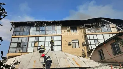 Алматының Медеу ауданындағы өрт сөндірілді, сурет - Zakon.kz жаңалық 23.08.2025 16:35