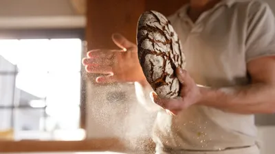 Павлодар облысында шетелдіктер наубайшы болып заңсыз жұмыс істеген, сурет - Zakon.kz жаңалық 24.08.2025 15:42