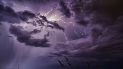 25 тамызда еліміздің бірқатар өңірінде дауылды ескерту жарияланды, сурет - Zakon.kz жаңалық 24.08.2025 17:58