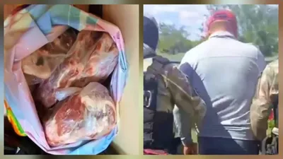 Ақтөбе облысында ауыл тұрғындары мал ұрлады деген күдікпен ұсталды, сурет - Zakon.kz жаңалық 27.08.2025 20:50