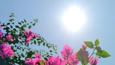 +41°C ыстық және жаңбыр: 28 тамызда Қазақстанды ауа райы қандай болады, сурет - Zakon.kz жаңалық 27.08.2025 18:30