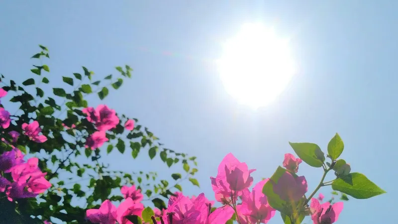 +41°C ыстық және жаңбыр: 28 тамызда Қазақстанды ауа райы қандай болады