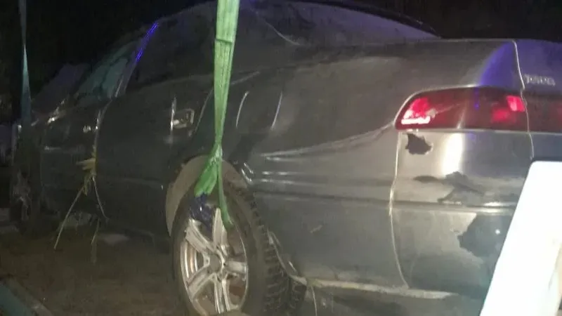 Алматыдағы қамыс арасынан табылған мәйіт: полиция түсініктеме берді