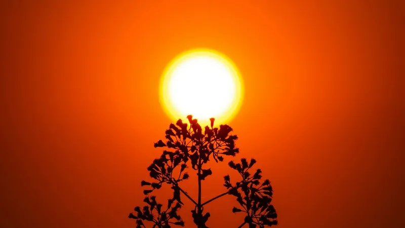 Қазақстанның төрт облысында жұма күні +38°С-қа дейін аптап ыстық болады