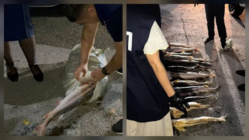 Ақтау тұрғынынан 40 келі бекіре тұқымдас балықтар тәркіленді