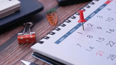 Конституция күніне орай ХҚО мен арнайы ХҚО-лардың жұмыс кестесі жарияланды, сурет - Zakon.kz жаңалық 29.08.2025 18:09