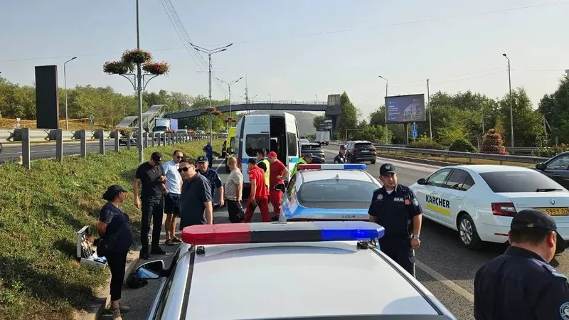 Алматыда айналма жолға жүгіріп шыққан әйелді көлік қағып өлтірді