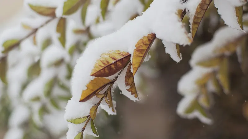 Қазақстанға қар аралас жаңбыр, -2°С үсік және +38°С ыстық келе жатыр