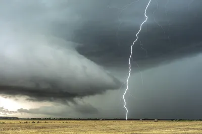 Екпінді жел, шаңды дауыл, найзағай мен өрт қаупі: 3 қыркүйекте қай өңірлерде ескерту жасалды, сурет - Zakon.kz жаңалық 02.09.2025 19:53
