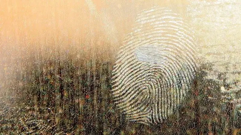 Қостанайда ұрланған көлікпен үш автокөлікпен соқтығысқан қаскөй саусақ іздері арқылы табылды