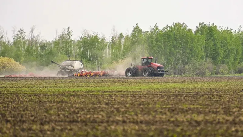 Фермерлік және шаруа қожалықтарын жүргізу үшін жерді жалға алу: өзгерістер енгізілді