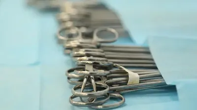 Ота, Алматы облысы, Талғар ауданы, ұрланған қыз бала, сурет - Zakon.kz жаңалық 07.09.2025 12:50