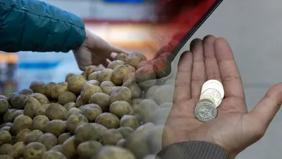 Картоп, баға, инфляция, Үкімет, Серік Жұманғарин, сурет - Zakon.kz жаңалық 07.09.2025 10:17