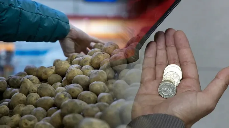 Үкімет картоп бағасы көктемде 185 теңгеден аспайтындығына уәде берді