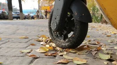 Самокат, Шымкент, айып тұрағы, полиция, сурет - Zakon.kz жаңалық 08.09.2025 21:41