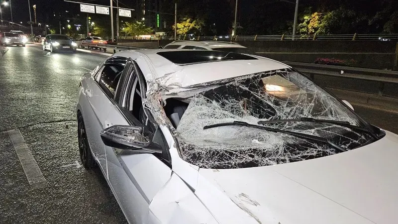 Жыныстық қатынастағы әдемі трансвеститтердің ВК видеолары