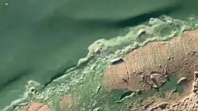 Жайық өзенінің жасылға боялуы, судағы мұнай өнімдерінің артуынан болып шықты , сурет - Zakon.kz жаңалық 09.09.2025 14:20