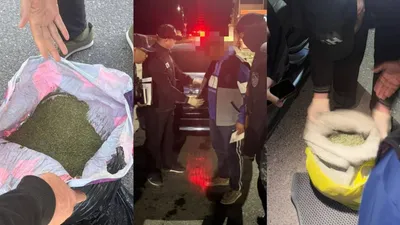 Түркістан облысында "Қарасора – 2025" жедел-алдын алу шарасы аясында полицейлер бір апта ішінде есірткіні сақтау және тасымалдаудың 7 фактісін тоқтатты. Заңсыз айналымнан жалпы салмағы 20 келіден астам есірткі заты тәркіленді, сурет - Zakon.kz жаңалық 10.09.2025 11:23