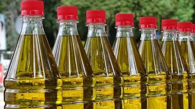 Шымкентте танымал брендтің "жалған" майы сатылып келген , сурет - Zakon.kz жаңалық 10.09.2025 10:51