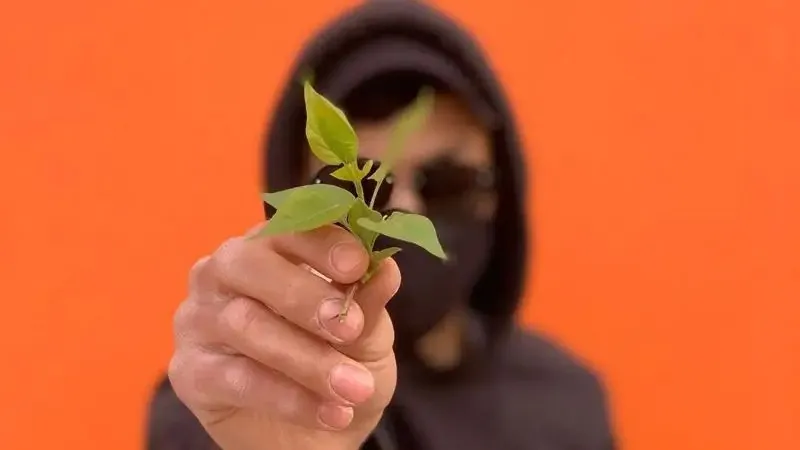 Желіде бір жігіт жат болды