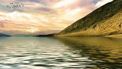 Солтүстік Арал теңізінің көлемі қалпына келуде , сурет - Zakon.kz жаңалық 10.09.2025 12:34