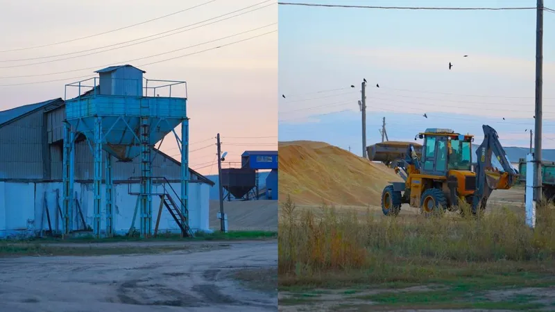 Қостанай облысында 54 тонна бидай ұрлығы әшкереленді