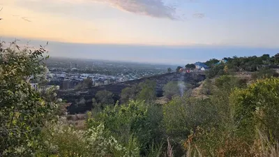 Өрт сөндірушілер Алматыда Шығыс айналма жолы маңындағы тауда болған өрт кезінде тұрғын үйлерді аман алып қалды, сурет - Zakon.kz жаңалық 11.09.2025 19:13