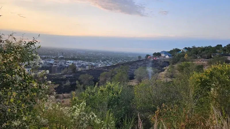 Өрт сөндірушілер Алматыда Шығыс айналма жолы маңындағы тауда болған өрт кезінде тұрғын үйлерді аман алып қалды