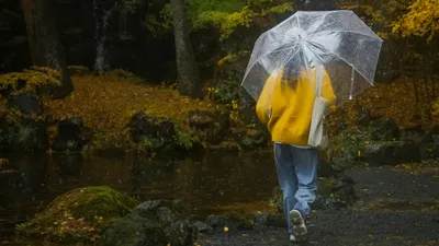 Алдағы күндері Қазақстан мегаполистерінде ауа райы қандай болады, сурет - Zakon.kz жаңалық 14.09.2025 14:10