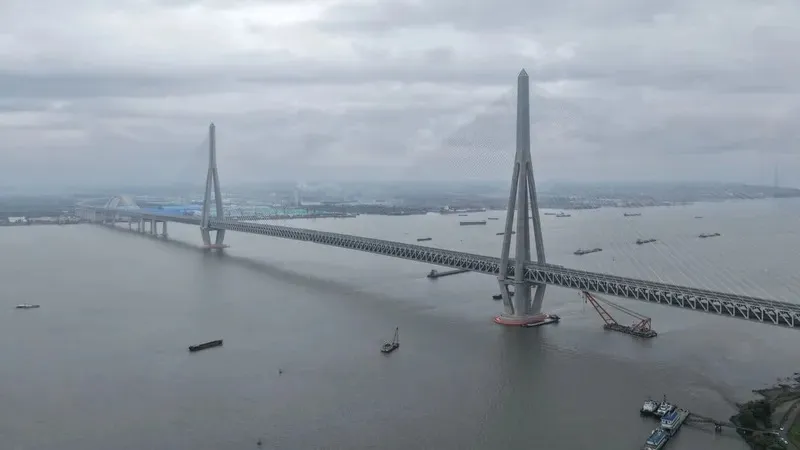 Witcher жалаңаш Шани мод