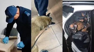 Қарағандыдан Астанаға кіреберістегі "Күйгенжар" блок-бекетінде көлік тоқтатылды. Қызметтік Корона атты иттің қатысуымен тексеру барысында тыйым салынған заттардың бар екендігін көрсететін белгілер анықталды., сурет - Zakon.kz жаңалық 17.09.2025 15:06