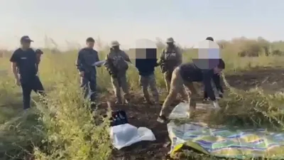 Жамбыл облысы ПД қызметкерлері Ұлттық ұланның "Бүркіт" арнайы жасағымен бірлесіп, есірткі құралдарының заңсыз айналымына қарсы күреске бағытталған "Қарасора — 2025" республикалық жедел алдын алу іс-шарасы аясында, сәтті операция жүргізді., сурет - Zakon.kz жаңалық 18.09.2025 16:50