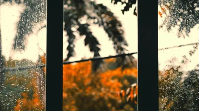 Тұман, үсік және найзағай: Қазақстанда дауылды ескерту жарияланды, сурет - Zakon.kz жаңалық 18.09.2025 20:17