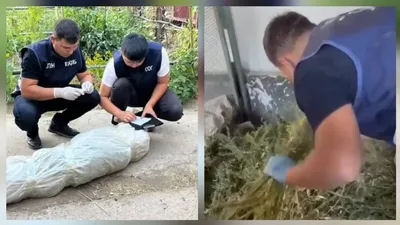 Шу станциясындағы желілік полиция бөлімінің қызметкерлерімен "Қарасора — 2025" жедел-алдын алу іс-шарасын жүргізу барысында Жамбыл облысының 76 жастағы тұрғынын анықтап, ұстады. , сурет - Zakon.kz жаңалық 18.09.2025 12:55