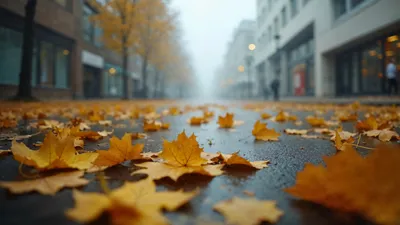 Найзағай, жаңбыр: синоптиктер 21 қыркүйектің ауа райы туралы айтты, сурет - Zakon.kz жаңалық 20.09.2025 17:22