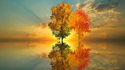 Күз, ауа райы болжамы, Астана, Алматы, Шымкент, 21 қыркүйек, 22 қыркүйек, 23 қыркүйек, сурет - Zakon.kz жаңалық 21.09.2025 12:56