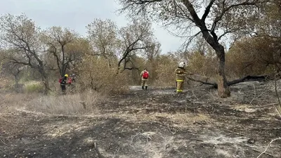 "Алтын-Емел" ұлттық паркіндегі өрт 45 гектар аумақты шарпыды, сурет - Zakon.kz жаңалық 23.09.2025 20:52