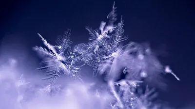 Қар, жаңбыр мен тұман: Қазақстанды 24 қыркүйекте ауа райы қандай болады, сурет - Zakon.kz жаңалық 23.09.2025 17:20