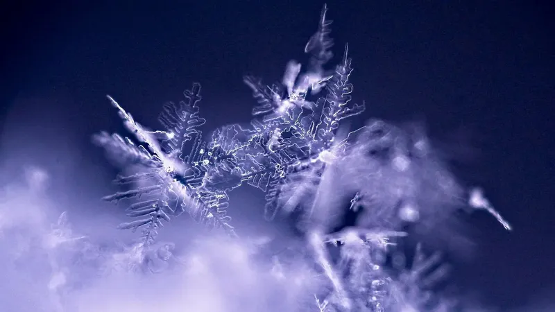 Қар, жаңбыр мен тұман: Қазақстанды 24 қыркүйекте ауа райы қандай болады