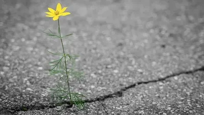 Тас жол, Таиланд, Банкок, шұңқыр, сурет - Zakon.kz жаңалық 24.09.2025 21:48