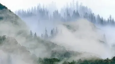 Тұман, ауа райы болжамы, 25 қыркүйек, Қазақстан, дауылды ескерту, сурет - Zakon.kz жаңалық 24.09.2025 21:16