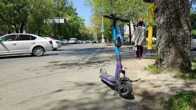 Самокат, Ақмола облысы, айып тұрағы, полиция, сурет - Zakon.kz жаңалық 24.09.2025 18:58