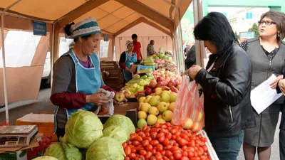 Алматыда алдағы демалыс күндері Түркістан облысының тауарөндірушілері қатысатын кеңейтілген ауыл шаруашылығы жәрмеңкесі өтеді., сурет - Zakon.kz жаңалық 25.09.2025 13:35