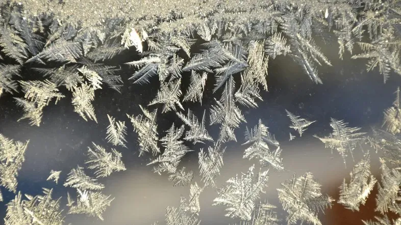 Позитив қалалық com порно