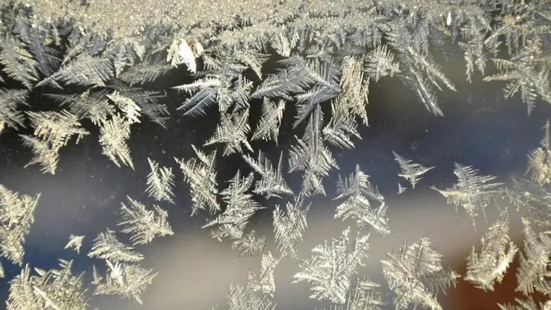 Секс фанфк сои фонг tgo