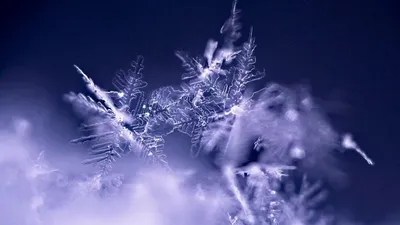 Қар, жаңбыр, ауа райы болжамы, Қазақстан, 27 қыркүйек, сурет - Zakon.kz жаңалық 26.09.2025 21:53