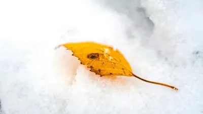 Қар, ауа райы болжамы, 30 қыркүйек, Қазақстан, дауылды ескерту, сурет - Zakon.kz жаңалық 29.09.2025 21:47